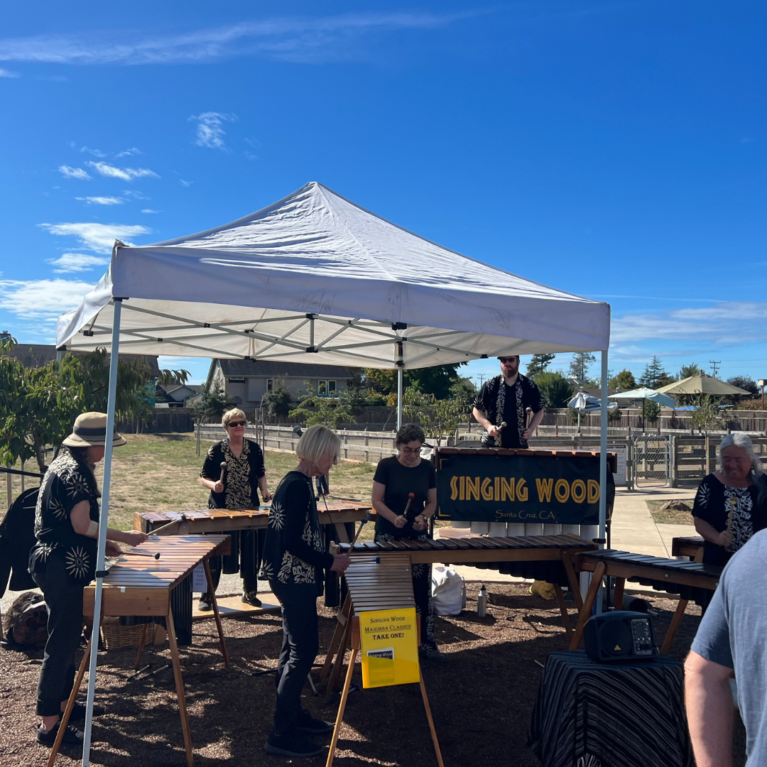 Photos of the Festival