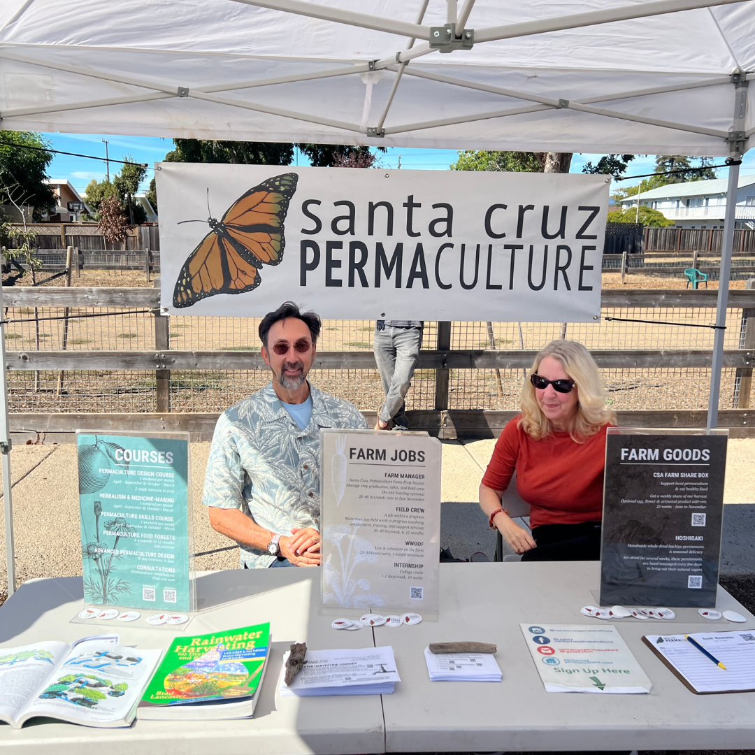 Photos of the Festival