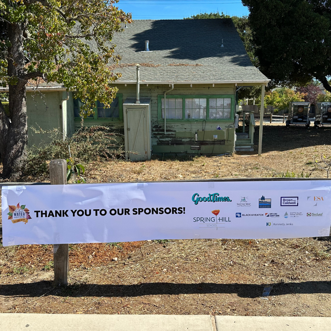 Photos of the Festival